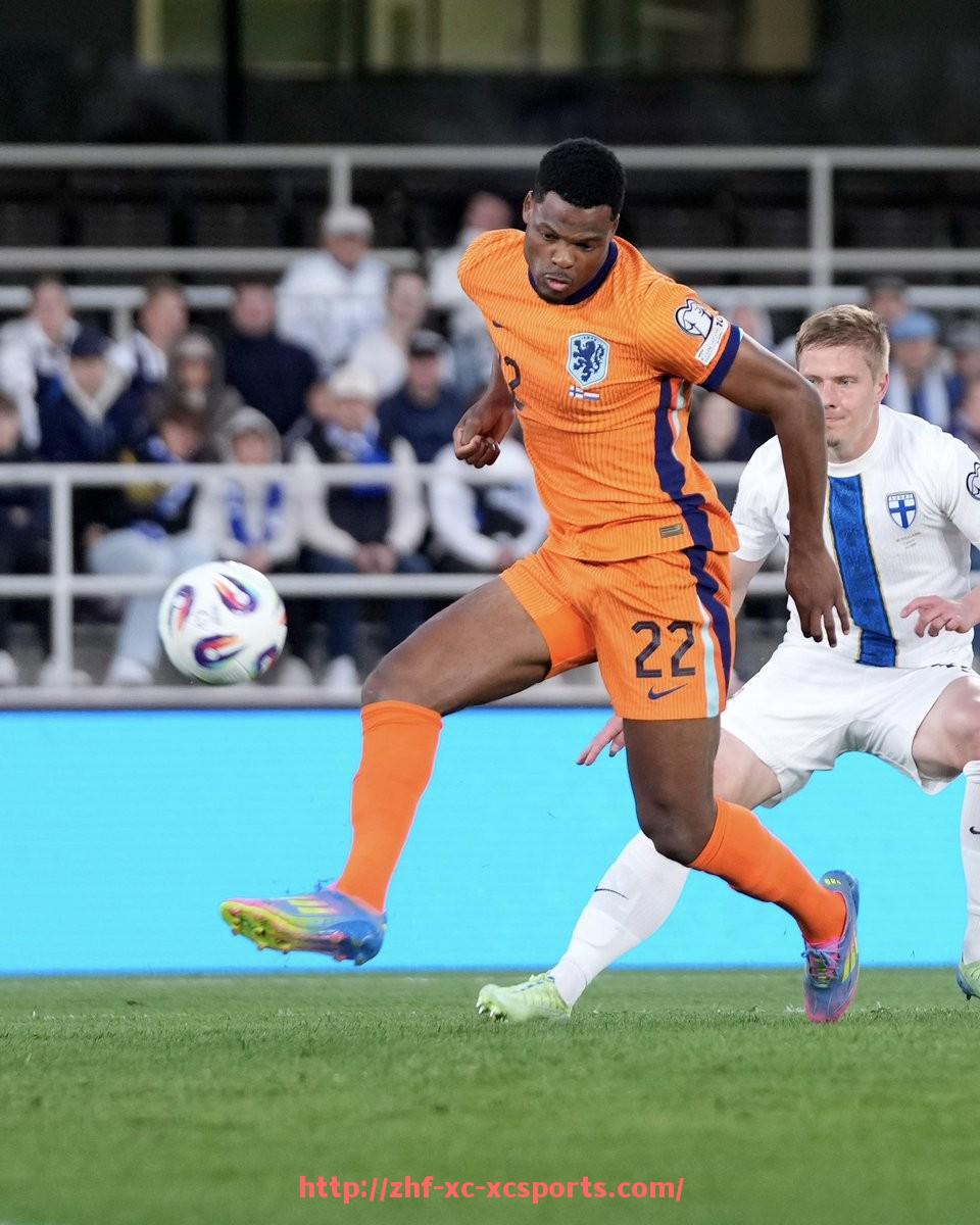 杏彩体育-西甲直播九球平台介绍及高清赛事回放获取方法