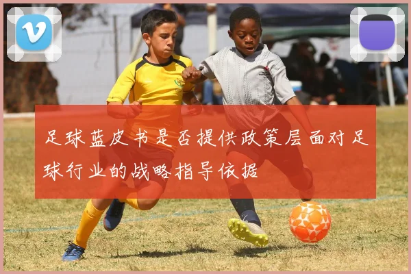 足球蓝皮书是否提供政策层面对足球行业的战略指导依据