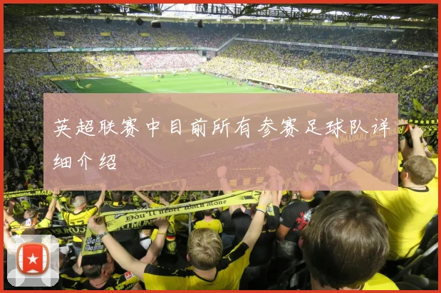 英超联赛中目前所有参赛足球队详细介绍