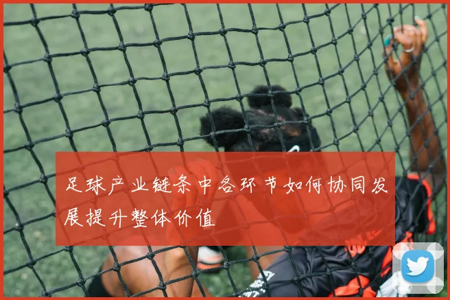 足球产业链条中各环节如何协同发展提升整体价值
